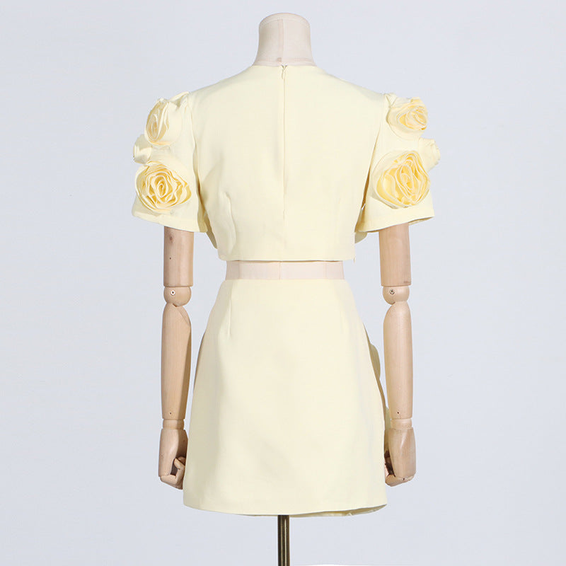 2pc 3D Floral Puff Sleeve Top High Waist Skirt Set